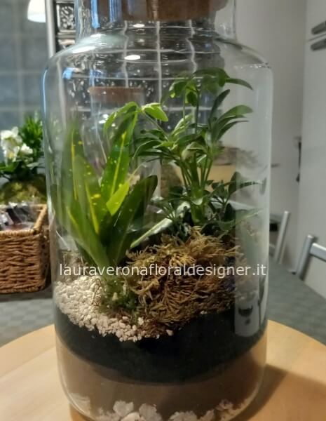 Terrarium piccolo
